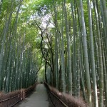 里帰り日記・嵯峨野編