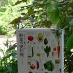 【本のこと】一冊あると嬉しい『野菜の便利帳』