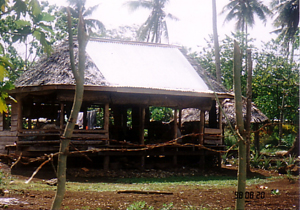 20081014-samoa11.jpg