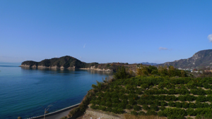 20090205-20090205c.jpg