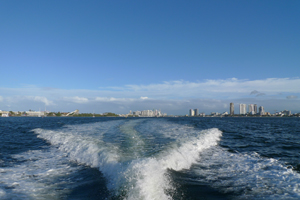 20090921-20090921a.jpg