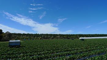 20120903-20120903b.jpg